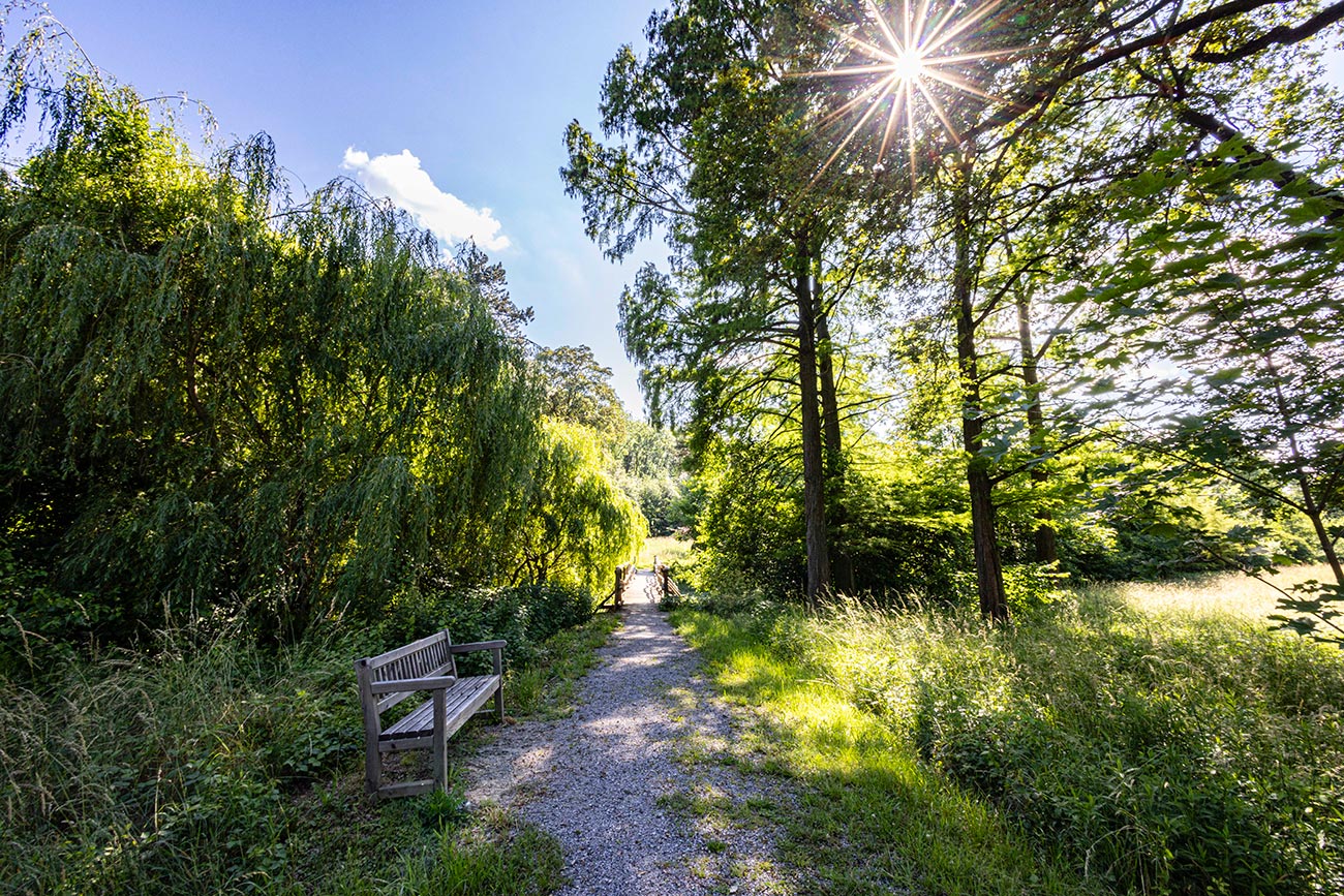 Schloss Eckartsau © Donautourismus, Friedl und Schmatz